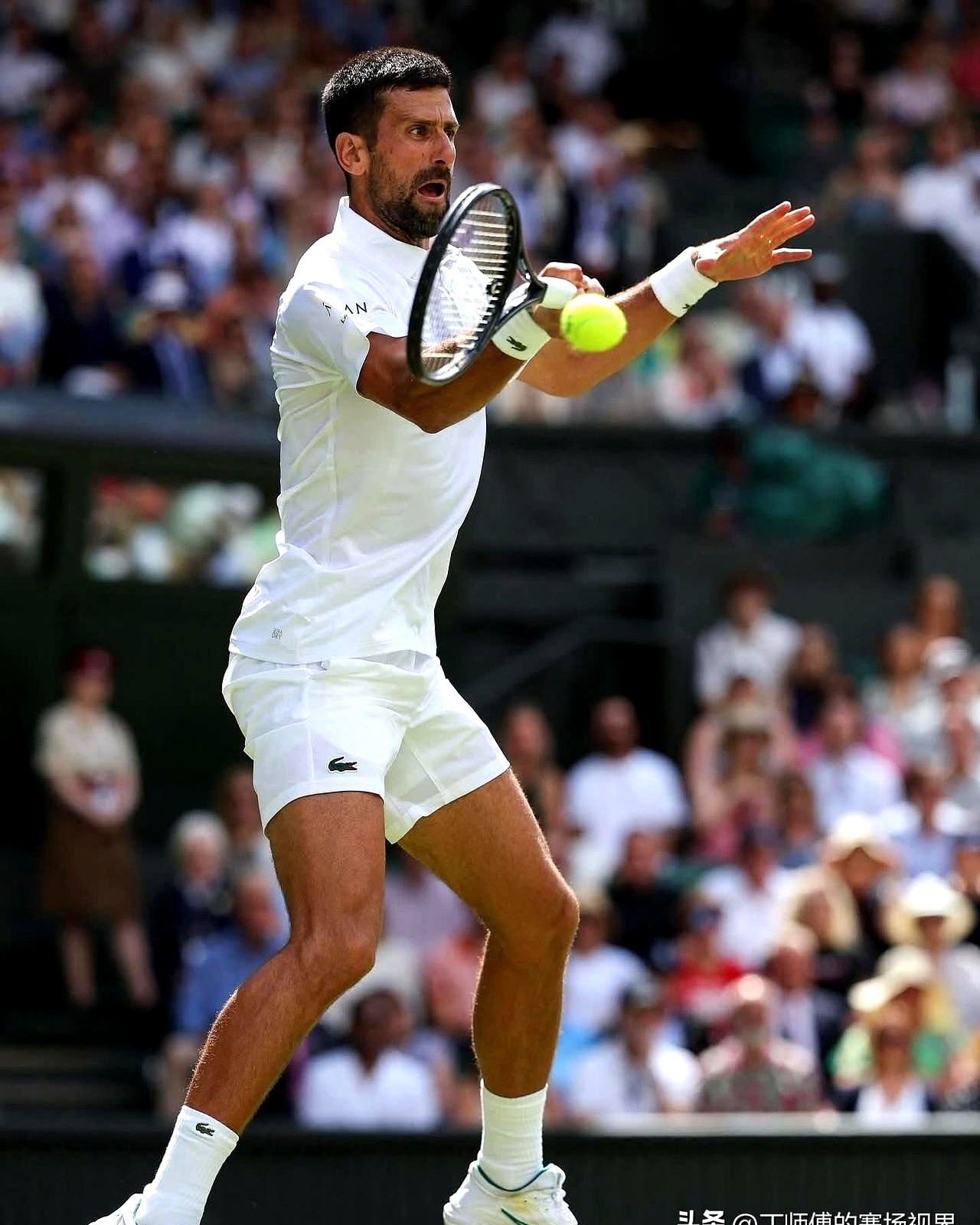 开云-德约科维奇迎来十五赛季高光表现,日本队球迷沸腾!的简单介绍